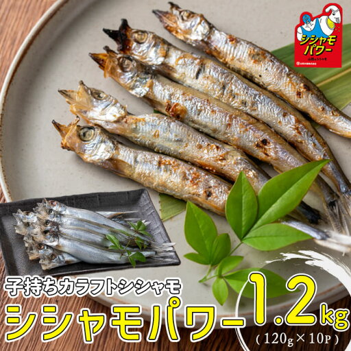 【ふるさと納税】山田のシシャモパワー 計1.2kg(120g×10P) 子持ちからふとししゃも 子持ち ししゃも シシャモ シシャモパワー 魚介 メス 卵 冷凍 小分け 鹿児島県 垂水市【山田水産】A1-1802 【ふるさと納税】山田のシシャモパワー 計1.2kg(120g×10P) 子持ちからふとししゃも 子持ち ししゃも シシャモ シシャモパワー 魚介 メス 卵 冷凍 小分け 鹿児島県 垂水市【山田水産】A1-1802