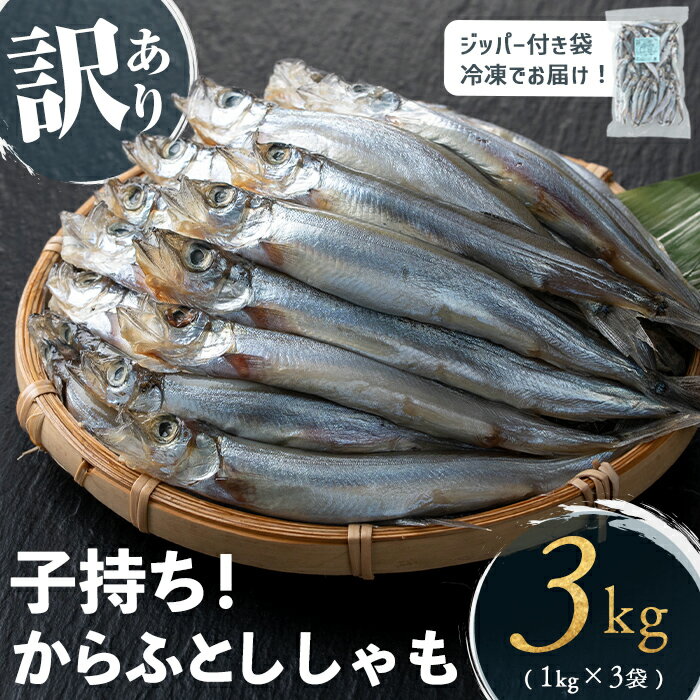 【訳あり】山田の子持ちからふとししゃも 計3kg(1kg×3袋) 子持ちからふとししゃも 子持ち ししゃも シシャモ 無選別 訳あり 簡易包装 ジッパー付 チャック付 魚介 メス 卵 冷凍 鹿児島県 垂水市【山田水産】A1-1804