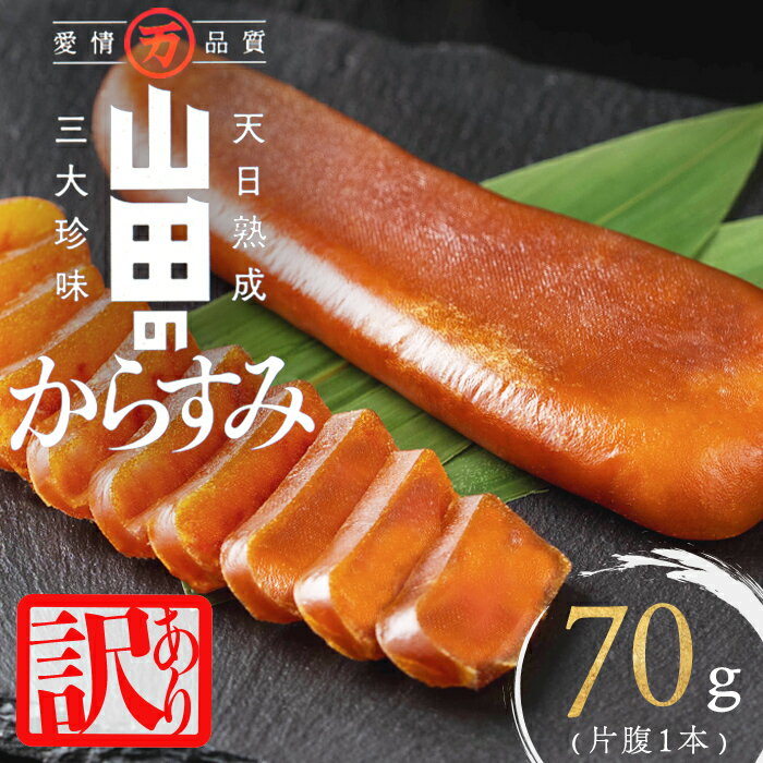 【訳あり】国産からすみ 片腹1本（70g以上）カラスミ 唐墨 おつまみ 魚卵 珍味 冷凍 鹿児島県 垂水市【山田水産】W-1801