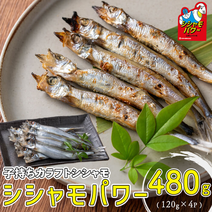 41位! 口コミ数「0件」評価「0」山田のシシャモパワー 計480g(120g×4P) 子持ちからふとししゃも 子持ち ししゃも シシャモ シシャモパワー 魚介 メス 卵 冷凍･･･ 