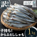 【ふるさと納税】【訳あり】山田の子持ちからふとししゃも 計1kg(1袋) 子持ちからふとししゃも 子持ち ししゃも シシャモ 無選別 訳あり 簡易包装 ジッパー...
