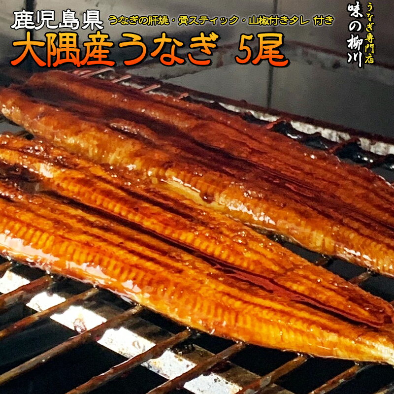 【ふるさと納税】大隅産うなぎ（約155g×5尾・無頭）【鹿児島県産】