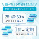 鹿児島県垂水市の画像3