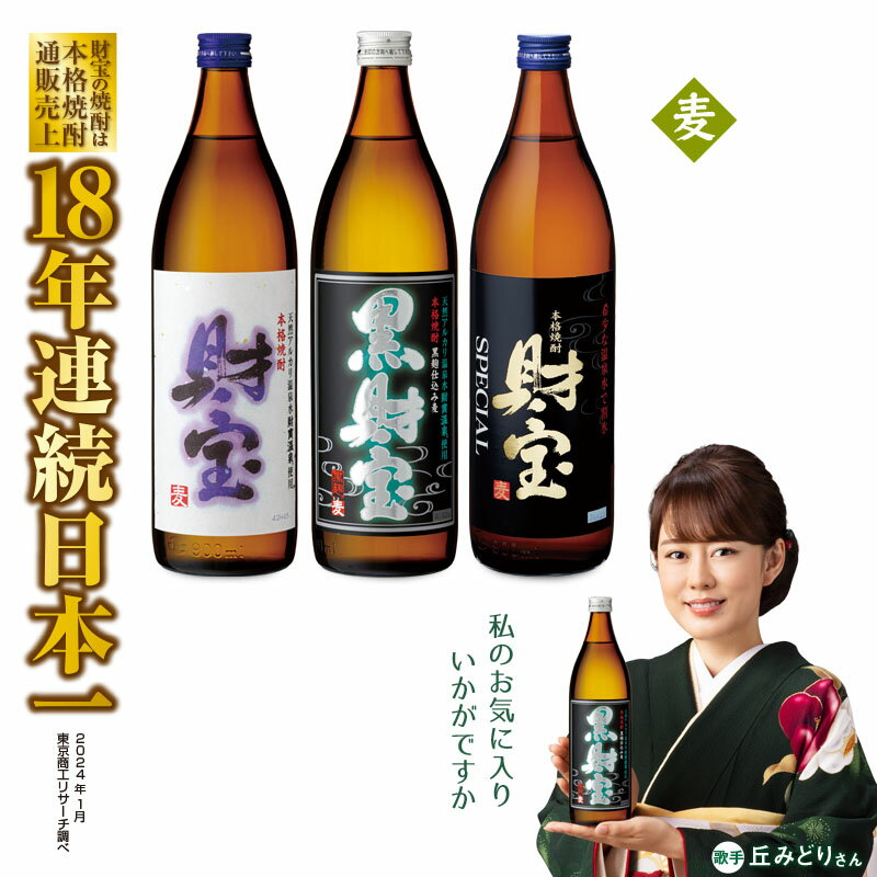 【ふるさと納税】 焼酎 麦 5合瓶 3種 3本 飲み比べ セ