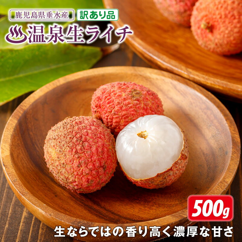 【ふるさと納税】 ライチ 鹿児島県垂水産 500g 訳あり 