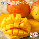 【ふるさと納税】【訳あり】【期間設定】 鹿児島県産 マンゴー 2kg 4~5玉でお届け 先行予約 期間限定 フルーツ 果物 トロピカルフルーツ トロピカル 完熟マンゴー 温泉マンゴー 濃厚 甘い 産地直送 規格外 鹿児島県 【財宝】 B2-22134