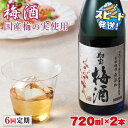 【ふるさと納税】【6回定期】梅酒 2本セット 国産梅 国産はちみつ 使用 4合瓶 720ml アルコール 12度 定期便 天然アルカリ温泉水 財寶温泉 使用 本格梅酒 蜂蜜 完熟梅 熟成 ストレート ロック 炭酸割り 水割り 鹿児島県 垂水市 お酒 果実 すぐ届く【財宝】 D4-2252