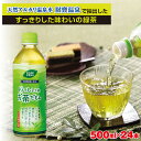 5位! 口コミ数「15件」評価「4.8」お茶 緑茶 500ml × 24本 ペットボトル『おいしいネ。お茶だもん』 鹿児島県 垂水市 財宝 知覧茶葉使用 水出し 常温 常温保存【財･･･ 