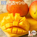 【ふるさと納税】 マンゴー 訳あり 1kg 2～3玉でお届け 先行予約 期間限定 フルーツ 果物 トロピカルフルーツ トロピカル 完熟マンゴー 温泉マンゴー 濃厚 甘い 産地直送 規格外 鹿児島県