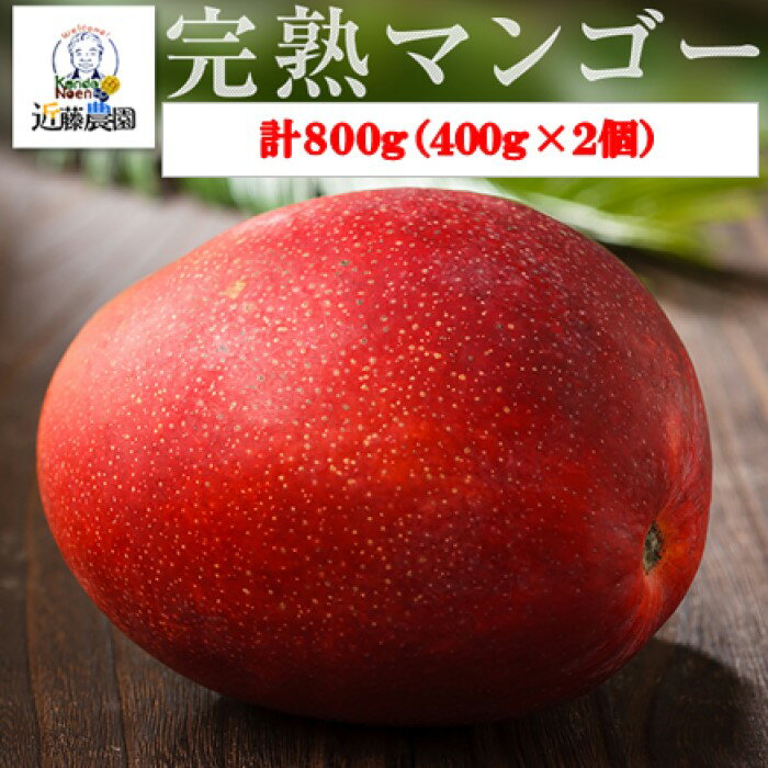 【ふるさと納税】【季節限定】特選贈答完熟マンゴー 800g（400g×2個）(M-1) 7月下旬以降発送 BS-515 季節限定 完熟マンゴー 贈答 特選マンゴー 鹿児島県 薩摩川内市 送料無料