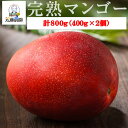 【ふるさと納税】【季節限定】特選贈答完熟マンゴー 800g(400g×2個)(M-1) 7月下旬以降発送 BS-515 季節限定 完熟マンゴー 贈答 特選マンゴー 鹿児島県 薩摩川内市 送料無料