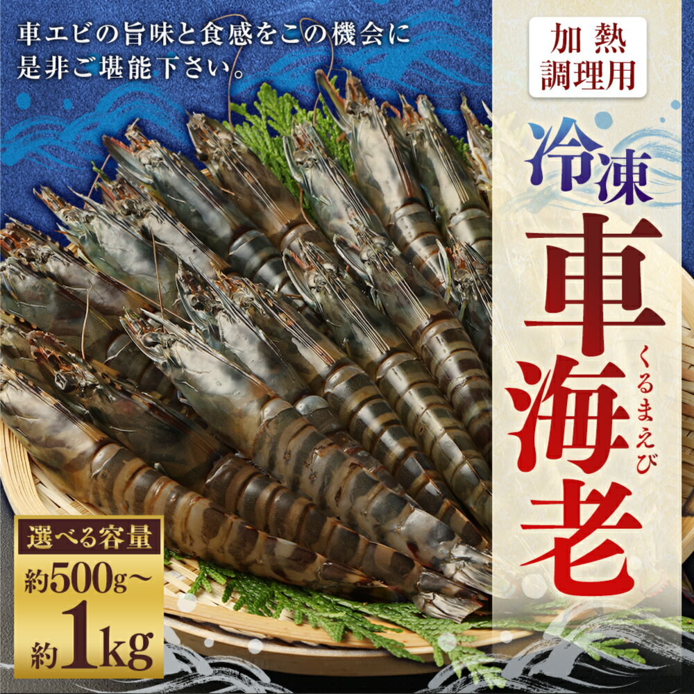 【ふるさと納税】【選べる容量】冷凍車エビ 約500gまたは約1kg （1パックあたり20～25尾前後） 加熱調理用 えび 海老 エビ 車海老 車エビ 車えび 甲殻類 冷凍 国産鹿児島県 薩摩川内市 送料無料