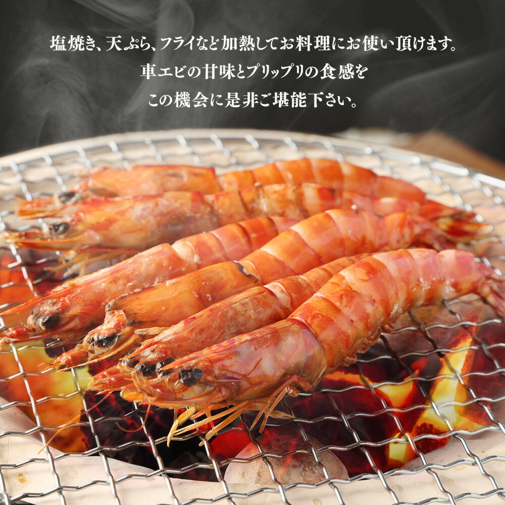 【ふるさと納税】【選べる容量】冷凍車エビ 約500gまたは約1kg （1パックあたり20～25尾前後） 加熱調理用 えび 海老 エビ 車海老 車エビ 車えび 甲殻類 冷凍 国産鹿児島県 薩摩川内市 送料無料