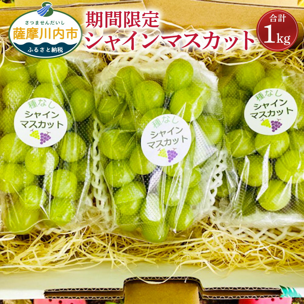 7位! 口コミ数「11件」評価「4」【数量限定】【先行予約】鹿児島県産シャインマスカット 計1kg マスカット ぶどう マスカット ぶどう ブドウ 葡萄 山口観光農園 山口ぶど･･･ 