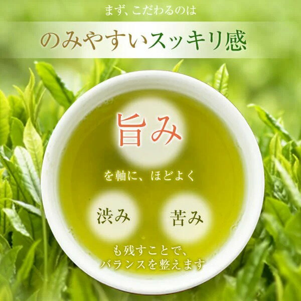 【ふるさと納税】お茶のぶどう園 鹿児島煎茶「高級煎茶」5種類飲み比べセット 鹿児島煎茶 大綱みどり 鹿児島茶 薩摩川内大綱引き 伝統行事鹿児島県 薩摩川内市 送料無料