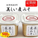 【ふるさと納税】【6カ月定期便】美しい麦味噌 500gカップ入り×2×6回 DS-007 万能 味噌 味噌汁 和食 食卓 彩 老舗 こだわり 健康 国産 人気 ギフト お中元 お歳暮 鹿児島県 薩摩川内市 送料無料