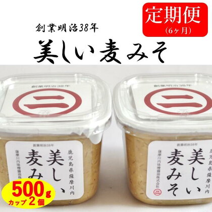 【6カ月定期便】美しい麦味噌 500gカップ入り×2×6回 DS-007 万能 味噌 味噌汁 和食 食卓 彩 老舗 こだわり 健康 国産 人気 ギフト お中元 お歳暮 鹿児島県 薩摩川内市 送料無料