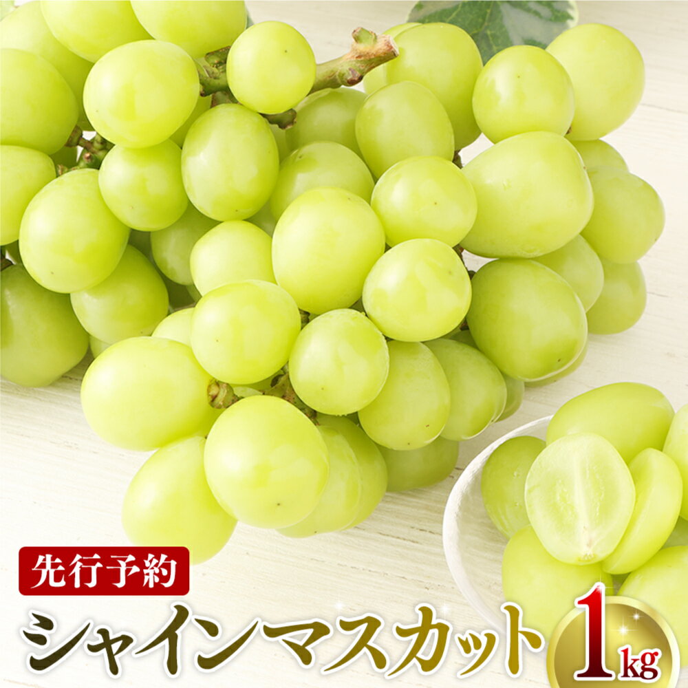 ڤդ뤵Ǽǡۡͽ 縩㥤ޥå 1kg14˼AS-345 ̸ ָ ֤ɤ ֥ɥ ƺ ֤ɤ  Ƴ ե롼ĤΤޤ 縩  ̵