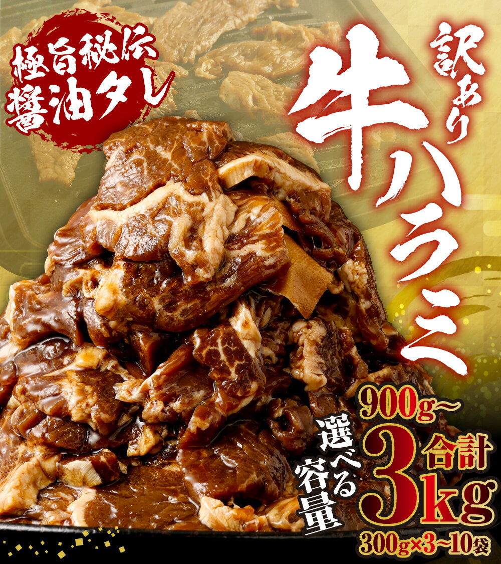 【ふるさと納税】やわらか 牛ハラミ（サガリ）肉 【選べる容量】極旨秘伝醤油タレ漬け 計約900g～約3kg（約300g×3袋～10袋)【訳あり】希少部位 牛肉 ハラミ 肉 お肉 焼肉 BBQ 炒め物 小分け 焼くだけ 簡単調理 時短 冷凍 鹿児島県 薩摩川内市 送料無料