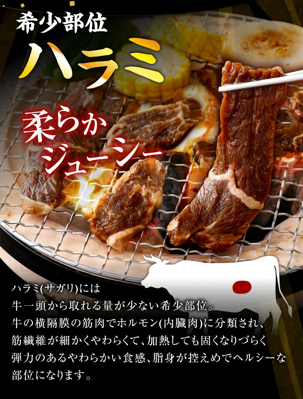 【ふるさと納税】やわらか 牛ハラミ（サガリ）肉 【選べる容量】極旨秘伝醤油タレ漬け 計約900g～約3kg（約300g×3袋～10袋)【訳あり】希少部位 牛肉 ハラミ 肉 お肉 焼肉 BBQ 炒め物 小分け 焼くだけ 簡単調理 時短 冷凍 鹿児島県 薩摩川内市 送料無料