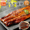 【ふるさと納税】【3カ月定期便】 九州産うなぎ蒲焼 約170g×5尾×3回 合計15尾 JS-224 うなぎ蒲焼 ウナギ 鰻 薩摩川内鰻 薩摩川内うなぎ 蒲焼 ...
