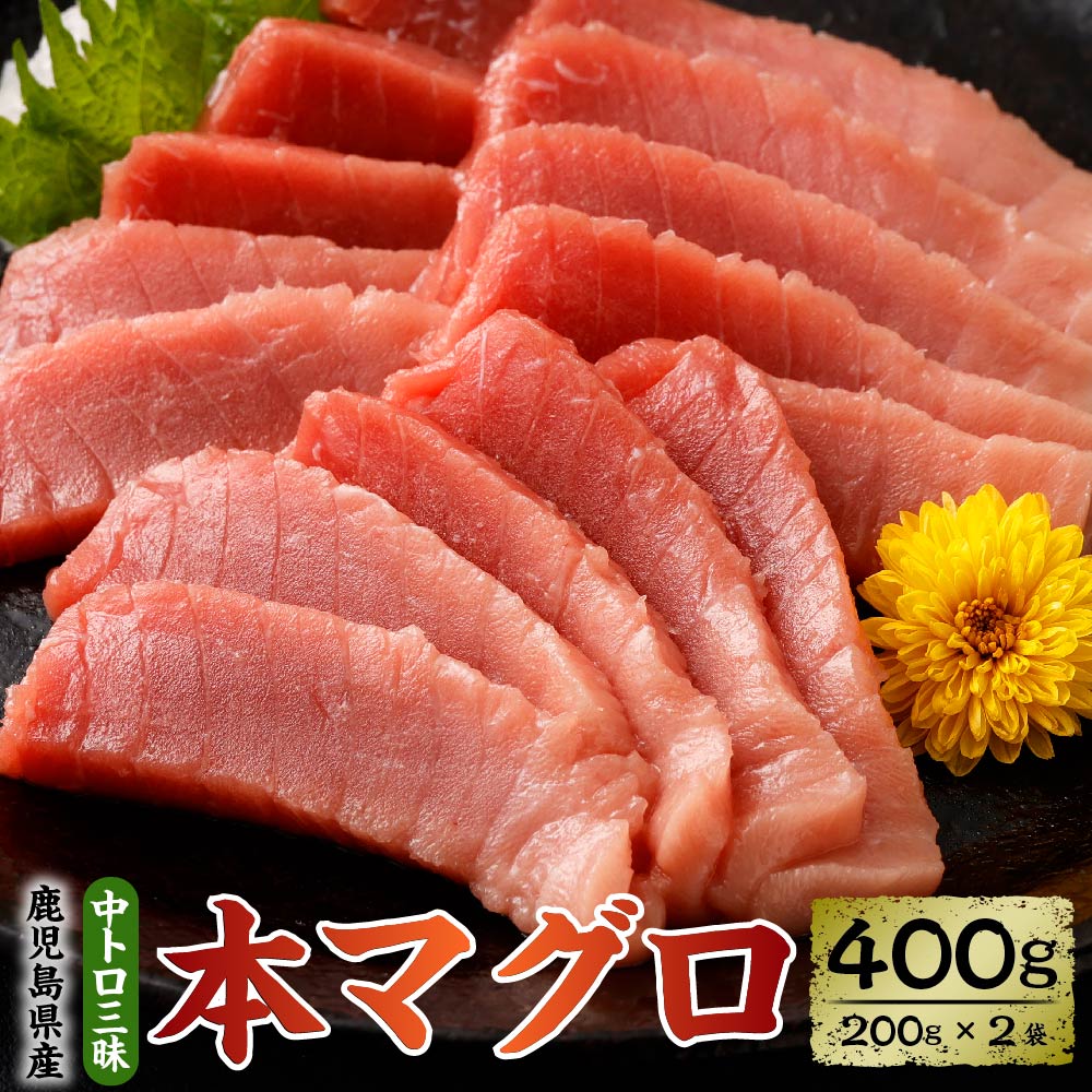 【ふるさと納税】鹿児島県産本マグロ 中トロ三昧 合計400g 200g×2袋 本鮪 まぐろ 黒マグロ 黒鮪 養殖 刺身 サク 背とろ 背トロ ネギトロ 鹿児島県 薩摩川内市 送料無料 国産 九州産 鹿児島産 冷凍