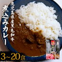 【ふるさと納税】【訳あり】鹿児島県産黒毛和牛カレー 3袋〜20袋 カレー 黒毛和牛 鹿児島県産黒毛和牛 黒毛和牛カレー 和牛 レトルト 煮込みカレー 鹿児島県 ...
