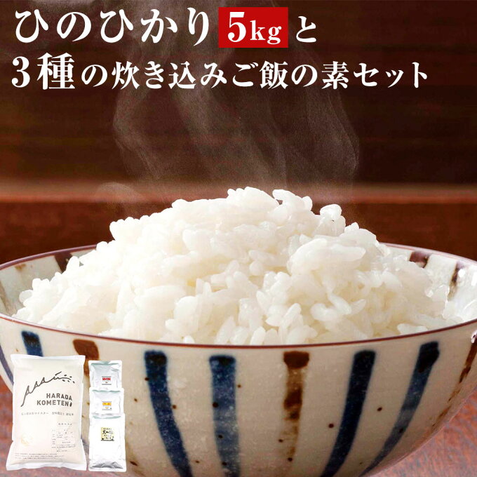 【ふるさと納税】鹿児島県産ひのひかり 5kg 3種の炊き込みご飯の素 A-461 薩...