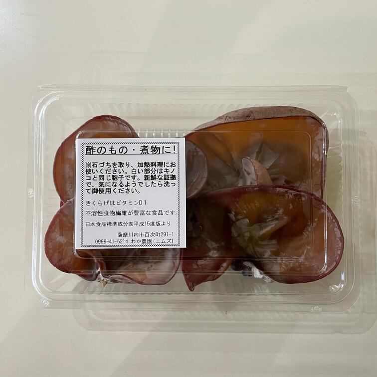 [数量限定・無農薬]薩摩川内市産の生きくらげ 360g(120g×3パック)AS-024 数量限定 無農薬きくらげ きくらげ 国産菌床 薩摩川内市産 生きくらげ 鹿児島県 薩摩川内市 送料無料