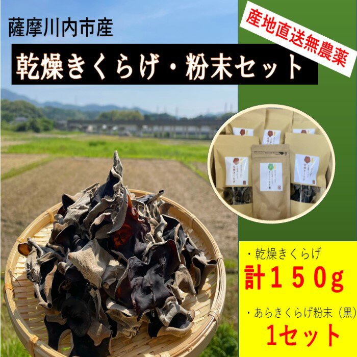 【ふるさと納税】薩摩川内市産の乾燥きくらげ・粉末セット DS-006 きくらげ 乾燥きくらげ 粉末 国産 鹿児島県 薩摩川内市 送料無料