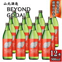 【ふるさと納税】BEYOND GODAI ビヨンドゴダイ 芋焼酎 25度 900ml×12本 山元酒造 GSR-801 焼酎 本格焼酎 芋焼酎 本格芋焼酎 五代...
