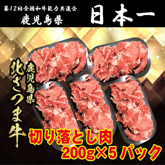 【ふるさと納税】北さつま牛 切り落とし　合計1kg（200g