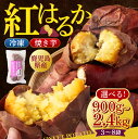 鹿児島県薩摩川内市の画像2