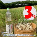 【ふるさと納税】 【先行予約】唐浜砂丘らっきょう(生)Mサイズ 3kg + らっきょう酢 1.8L AS-524 生らっきょう ラッキョウ 唐浜砂丘らっきょう ...