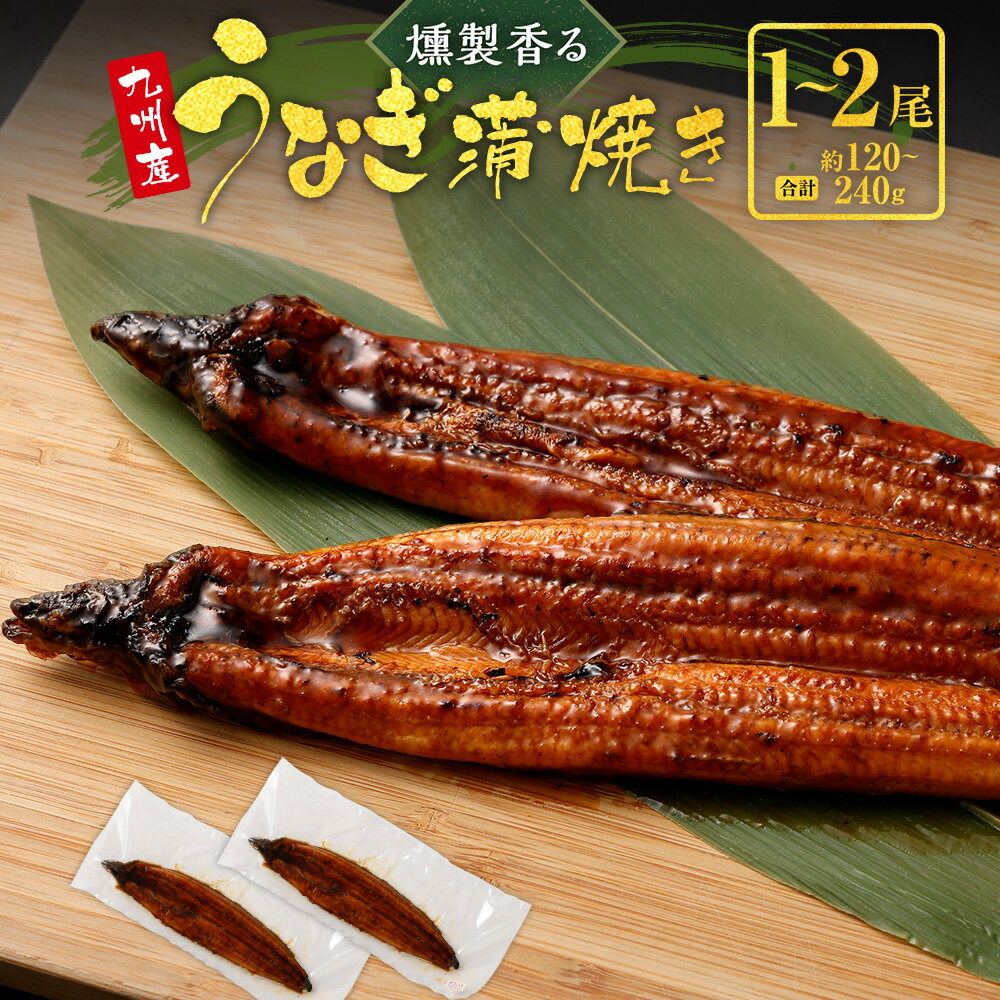 【ふるさと納税】燻製香る うなぎ蒲焼き 1～2尾 計約120～240g（1尾約120g）珍しい うなぎ ウナギ 鰻 ...