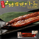 【ふるさと納税】【配送月が選べる】 九州産 うなぎ蒲焼き 1～5尾 計約120g～600g タレ付 うなぎ ウナギ 鰻 うなぎの蒲焼き 鰻蒲焼 蒲焼 蒲焼き タレ たれ 国産うなぎ おかず 惣菜 おつまみ 土用の丑の日 冷凍 真空パック お取り寄せ 国産 鹿児島県 薩摩川内市 送料無料