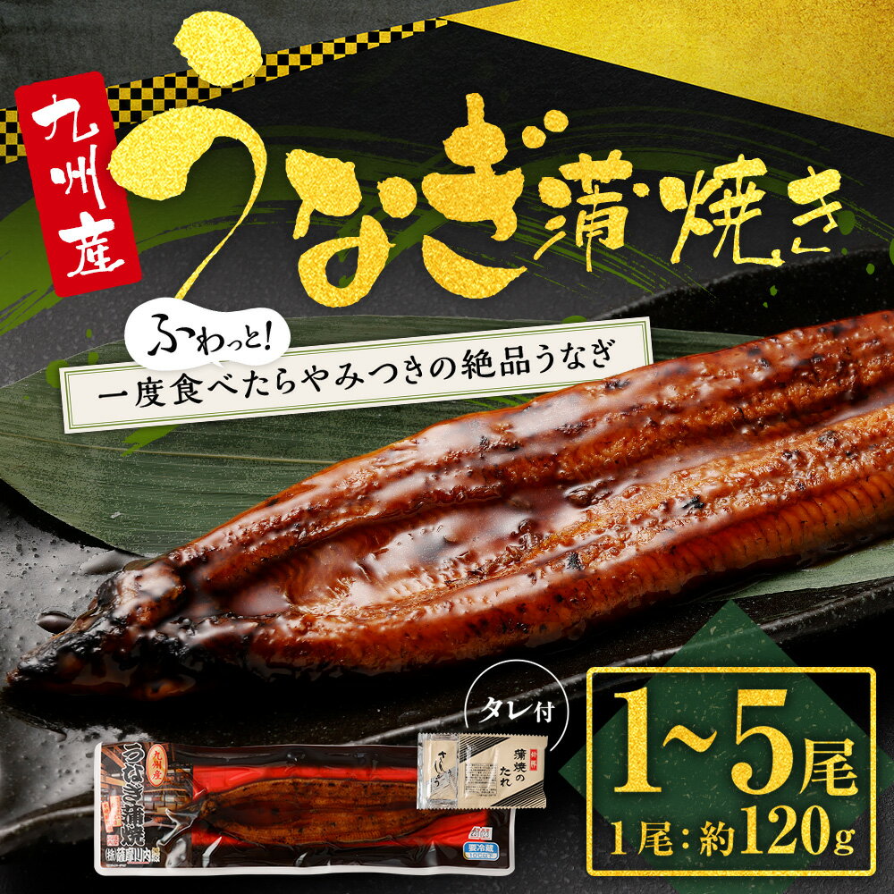 【ふるさと納税】【配送月が選べる】 九州産 うなぎ蒲焼き 1～5尾 計約120g～600g タレ付 うなぎ ウナギ 鰻 うなぎの蒲焼き 鰻蒲焼 蒲焼 蒲焼き タレ たれ 国産うなぎ おかず 惣菜 おつまみ 土用の丑の日 冷凍 真空パック お取り寄せ 国産 鹿児島県 薩摩川内市 送料無料