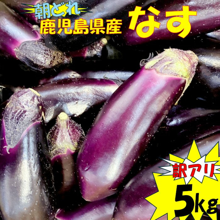 【ふるさと納税】【訳アリ】鹿児島県産ナス 5kg 朝どれ 季節限定 なす ナス 茄子 なすび 朝どれ 朝採れ 夏野菜 夏 なつ 野菜 やさい 訳アリ 訳あり 季節限定 夏限定 農家直送 鹿児島県 薩摩川内市 送料無料のサムネイル
