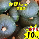 【ふるさと納税】【訳アリ】かぼちゃ(栗五郎) 10kg 季節限定 夏限定 かぼちゃ カボチャ 南瓜 栗五郎 栗 ホクホク ほくほく 夏野菜 夏 なつ 野菜 やさ...