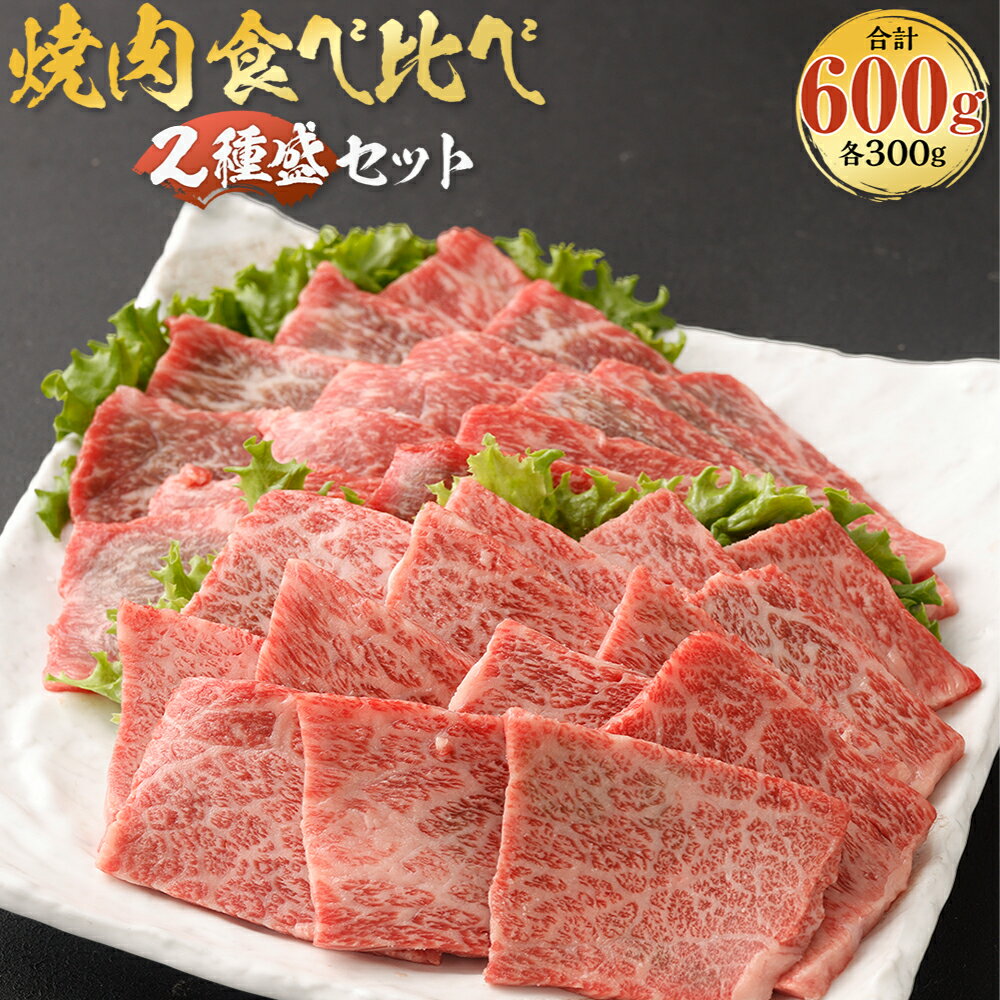 【ふるさと納税】北さつま高崎牛 焼肉食べ比べセット 2種盛り