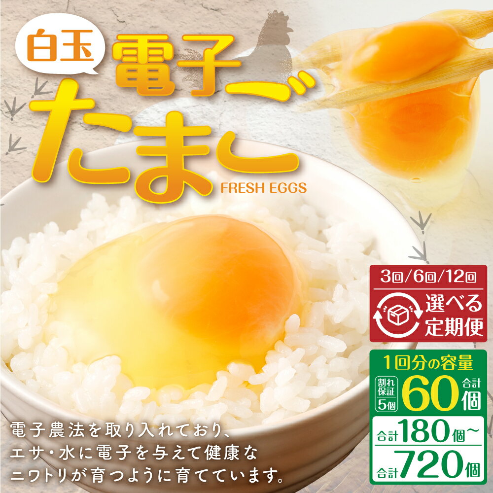 【ふるさと納税】【選べる定期便】 電子 たまご 白玉 1回のお届け60個 内割れ保証5個 3ヶ月 180個 6ヶ月 360個 12ヶ月 720個 卵 定期便 国産 鹿児島県 薩摩川内市 送料無料