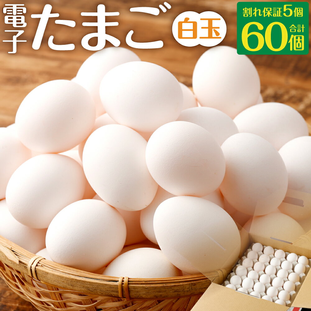 電子 たまご 白玉 合計60個 割れ保証5個 卵 国産 鹿児島県 薩摩川内市 送料無料