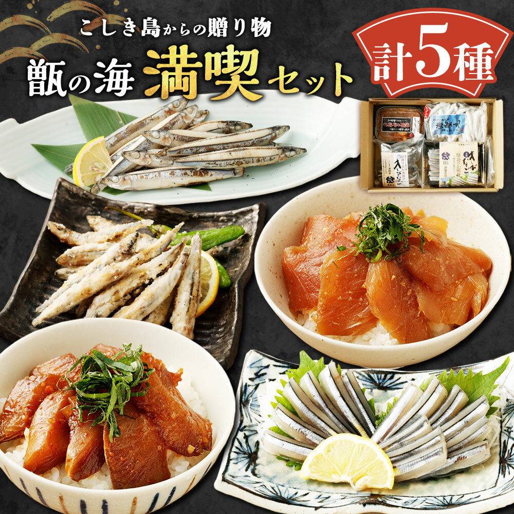 【ふるさと納税】こしき島からの贈り物 甑の海 満喫セット 5種 詰め合わせ 計680g きびなご 甑海洋深層水漬け 唐揚げ 刺身 沖漬け ピリ辛沖漬け 魚介 冷凍 甑島 鹿児島県 薩摩川内市 送料無料