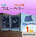 【ふるさと納税】しもっごの里 冷凍ブルーベリー 1kg AS-2184 ブルーベリー ヨーグルト ジャム ブルーベリージュース冷凍 自家農園 鹿児島県 薩摩川内...