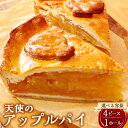 【ふるさと納税】【選べる容量】天使のアップルパイ 4ピース 約140g×4個 もしくは ホール 22cm 1個 アップルパイ りんごパイ パイ スイーツ デザー...