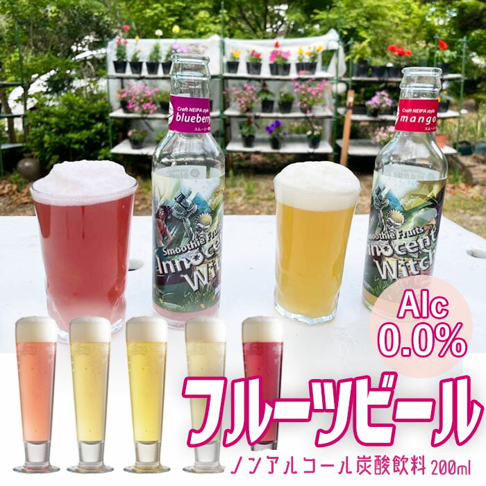 【ふるさと納税】フルーツビール ノンアルコール クラフトビール 計10本入り 5種類×2本 きんかん イチゴ バナナ ブルーベリー マンゴー 果物 飲料 炭酸飲料 アルコールゼロ ノンアル ノンアルビール 飲み比べ セット 鹿児島県 薩摩川内市 送料無料