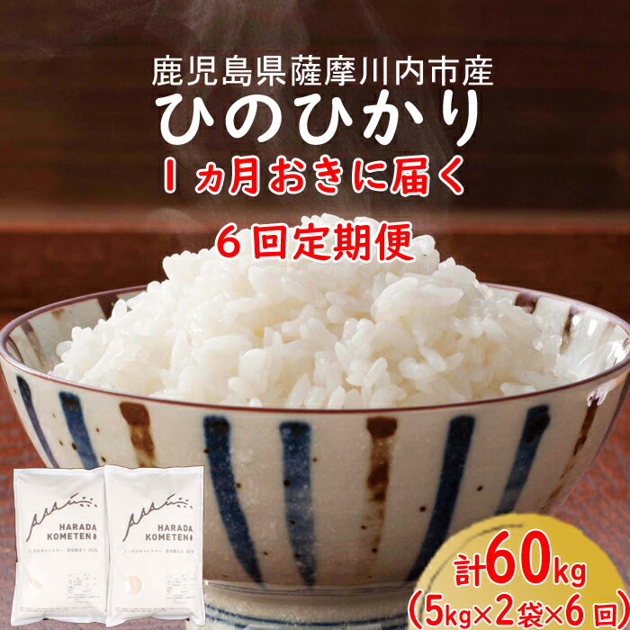 19位! 口コミ数「0件」評価「0」 1ヵ月おき6回定期便 鹿児島県産ひのひかり 計60kg JS-201 薩摩川内市産 ヒノヒカリ 2ヶ月に1回お届け 五つ星お米マイスター厳･･･ 