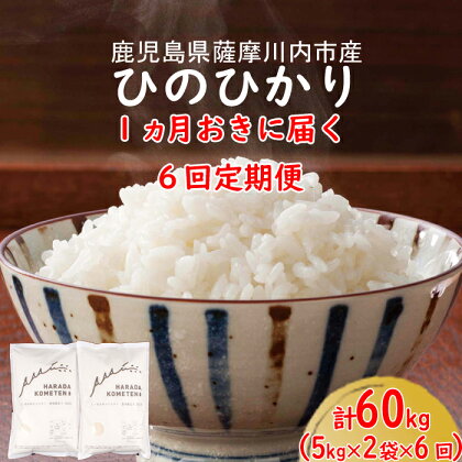 1ヵ月おき6回定期便 鹿児島県産ひのひかり 計60kg JS-201 薩摩川内市産 ヒノヒカリ 2ヶ月に1回お届け 五つ星お米マイスター厳選 国産　鹿児島県　お米　白米　ヒノヒカリ　ひのひかり鹿児島県 薩摩川内市 送料無料