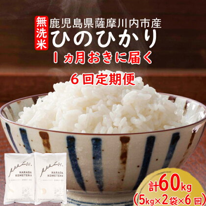 1ヵ月おき6回お届け 無洗米 鹿児島県産ひのひかり 計60kg 6回定期便 JS-223 薩摩川内市産 ヒノヒカリ 五つ星お米マイスター厳選 鹿児島県 薩摩川内市 送料無料