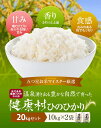 人気ランキング第28位「鹿児島県薩摩川内市」口コミ数「0件」評価「0」鹿児島県産ひのひかり 五つ星お米マイスターが厳選したお米 20kg セット 10kg×2袋 原田米店 ヒノヒカリ 鹿児島 ギフト プレゼント お中元 お歳暮 薩摩川内市 川内市 川内 ふるさと 納税